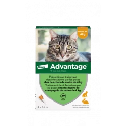 Advantage 40 Chat/Lapin De Moins De 4 Kg