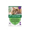 Advantage 80 Chat/Lapin De Plus De 4 Kg 2 Advantage 80 Chat/Lapin De Plus De 4 Kg -Animaux Fournitures Magasin advantage 80 chat lapin de plus de 4 kg