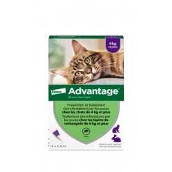 Advantage 80 Chat/Lapin De Plus De 4 Kg