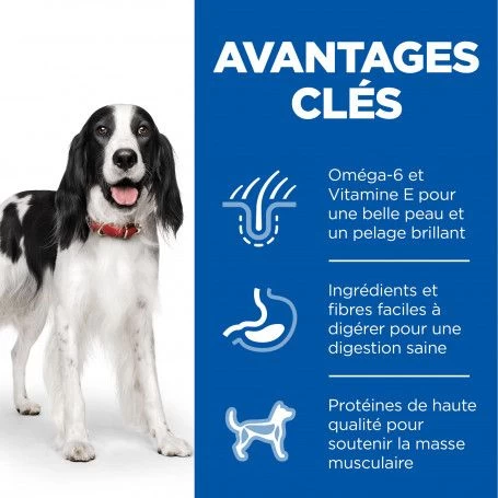 Canine Adult Boeuf Boîte 6 Canine Adult Boeuf Boîte – Image 4