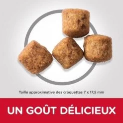 Canine Adult Light Large Poulet Value Pack 7 Canine Adult Light Large Poulet Value Pack -Animaux Fournitures Magasin canine adult light large poulet 2