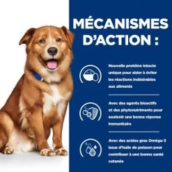 Derm Complete Boîte Pour Chien -Animaux Fournitures Magasin canine derm complete 4