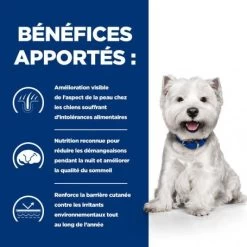 Derm Complete Mini Croquettes Pour Petit Chien -Animaux Fournitures Magasin canine derm complete mini 2