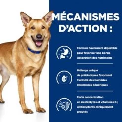 I/D Digestive Care Mini Mijotés Pour Chien Et Chiot Poulet & Légumes 12 I/D Digestive Care Mini Mijotés Pour Chien Et Chiot Poulet & Légumes -Animaux Fournitures Magasin canine i d digestive care mijotes poulet legumes boite 4