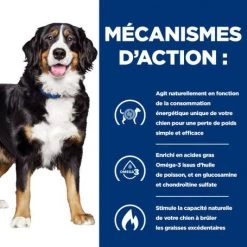 J/D Metabolic+Mobility Croquettes Pour Chien Au Poulet 15 J/D Metabolic+Mobility Croquettes Pour Chien Au Poulet -Animaux Fournitures Magasin canine metabolicmobility 4