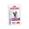 ROYAL CANIN Cat Early Renal Sachet Repas -Animaux Fournitures Magasin cat early renal sachet repas