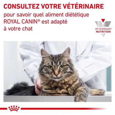 ROYAL CANIN Cat Early Renal Sachet Repas 10 ROYAL CANIN Cat Early Renal Sachet Repas – Image 8