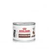 ROYAL CANIN Cat Gastro Intestinal Kitten Boîte -Animaux Fournitures Magasin cat gastro intestinal kitten boite