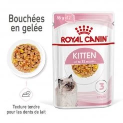 Cat Kitten Royal Canin Emincé En Gelée Sachet Repas -Animaux Fournitures Magasin cat kitten royal canin emince en gelee sachet repas 2