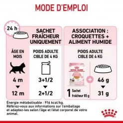 Cat Kitten Royal Canin Emincé En Gelée Sachet Repas -Animaux Fournitures Magasin cat kitten royal canin emince en gelee sachet repas 3