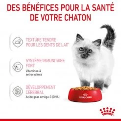 Cat Kitten Royal Canin Emincé En Gelée Sachet Repas -Animaux Fournitures Magasin cat kitten royal canin emince en gelee sachet repas 6