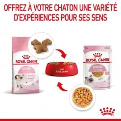 Cat Kitten Royal Canin Emincé En Gelée Sachet Repas -Animaux Fournitures Magasin cat kitten royal canin emince en gelee sachet repas 7