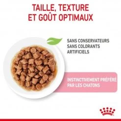 Cat Kitten Stérilisé Royal Canin Emincé En Sauce Sachet Repas -Animaux Fournitures Magasin cat kitten royal canin emince en sauce sachet repas 12