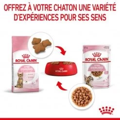 Cat Kitten Stérilisé Royal Canin Emincé En Sauce Sachet Repas -Animaux Fournitures Magasin cat kitten royal canin emince en sauce sachet repas 13