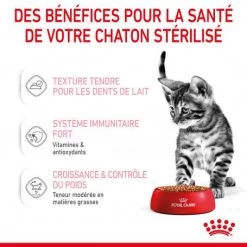 Cat Kitten Stérilisé Royal Canin Emincé En Sauce Sachet Repas -Animaux Fournitures Magasin cat kitten royal canin emince en sauce sachet repas 14