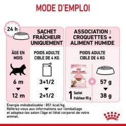 Cat Kitten Stérilisé Royal Canin Emincé En Sauce Sachet Repas -Animaux Fournitures Magasin cat kitten royal canin emince en sauce sachet repas 16