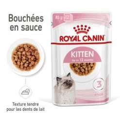 Cat Kitten Royal Canin Emincé En Sauce Sachet Repas -Animaux Fournitures Magasin cat kitten royal canin emince en sauce sachet repas 2