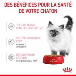 Cat Kitten Royal Canin Emincé En Sauce Sachet Repas -Animaux Fournitures Magasin cat kitten royal canin emince en sauce sachet repas 6