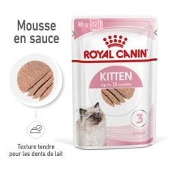 Cat Kitten Royal Canin Mousse Sachet Repas 13 Cat Kitten Royal Canin Mousse Sachet Repas -Animaux Fournitures Magasin cat kitten royal canin mousse sachet repas 2