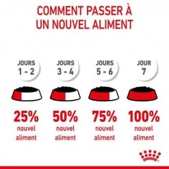 Cat Kitten Royal Canin Mousse Sachet Repas 16 Cat Kitten Royal Canin Mousse Sachet Repas -Animaux Fournitures Magasin cat kitten royal canin mousse sachet repas 5