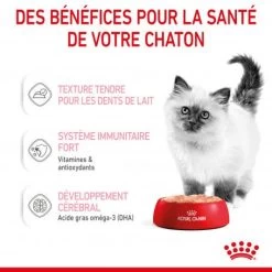 Cat Kitten Royal Canin Mousse Sachet Repas 17 Cat Kitten Royal Canin Mousse Sachet Repas -Animaux Fournitures Magasin cat kitten royal canin mousse sachet repas 6