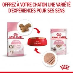 Cat Kitten Royal Canin Mousse Sachet Repas 18 Cat Kitten Royal Canin Mousse Sachet Repas -Animaux Fournitures Magasin cat kitten royal canin mousse sachet repas 7