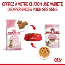 Cat Kitten Sterilised Royal Canin Emincé En Gelée Sachet Repas -Animaux Fournitures Magasin cat kitten sterilised royal canin eminen gelee sachet repas 7