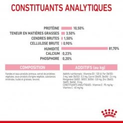 Cat Kitten Sterilised Royal Canin Emincé En Gelée Sachet Repas -Animaux Fournitures Magasin cat kitten sterilised royal canin eminen gelee sachet repas 8