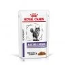 ROYAL CANIN Cat Mature Consult Sachet Repas 2 ROYAL CANIN Cat Mature Consult Sachet Repas -Animaux Fournitures Magasin cat mature consult sachet repas