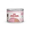 ROYAL CANIN Cat Mother & Babycat Boîte -Animaux Fournitures Magasin cat mother babycat boite