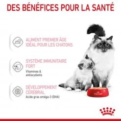 ROYAL CANIN Cat Mother & Babycat Boîte -Animaux Fournitures Magasin cat mother babycat boite 3