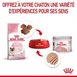 ROYAL CANIN Cat Mother & Babycat Boîte -Animaux Fournitures Magasin cat mother babycat boite 4
