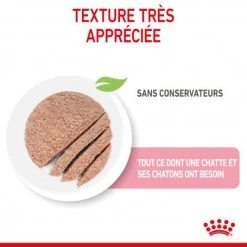ROYAL CANIN Cat Mother & Babycat Boîte -Animaux Fournitures Magasin cat mother babycat boite 5