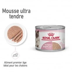 ROYAL CANIN Cat Mother & Babycat Boîte -Animaux Fournitures Magasin cat mother babycat boite 6