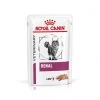 ROYAL CANIN Cat Renal Poulet Mousse Sachet Repas -Animaux Fournitures Magasin cat renal poulet mousse sachet repas