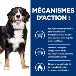 Chien J/d Metabolic + Mobility Poulet Boîte 8 Chien J/d Metabolic + Mobility Poulet Boîte -Animaux Fournitures Magasin chien j d metabolic mobility poulet bote 1