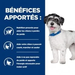 J/d Metabolic+Mobility Mini Croquettes Pour Petit Chien Au Poulet -Animaux Fournitures Magasin chien j d metabolicmobility mini poulet 2