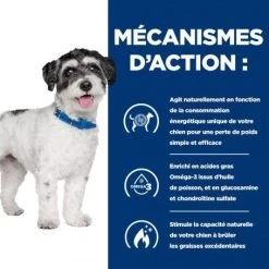 J/d Metabolic+Mobility Mini Croquettes Pour Petit Chien Au Poulet -Animaux Fournitures Magasin chien j d metabolicmobility mini poulet 3