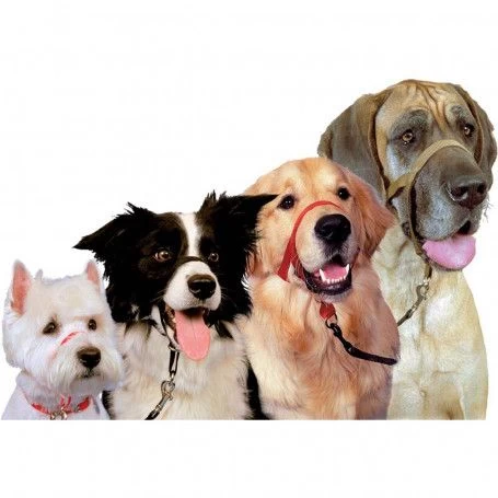 Materiel Collier De Contrôle Halti 3 Materiel Collier De Contrôle Halti