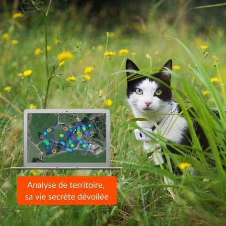 Materiel Collier GPS Weenect Cats 2 Pour Chat 9 Materiel Collier GPS Weenect Cats 2 Pour Chat – Image 7