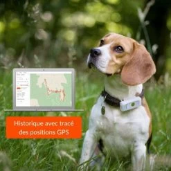 Materiel Collier GPS Weenect Dogs 2 Pour Chien -Animaux Fournitures Magasin collier gps weenect dogs 2 pour chien 6