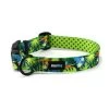 Materiel Collier Hop Dog Tropics Time 1 Materiel Collier Hop Dog Tropics Time -Animaux Fournitures Magasin collier hop dog tropics time