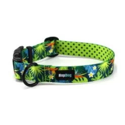 Materiel Collier Hop Dog Tropics Time
