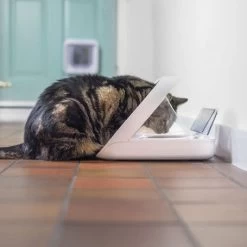 Materiel Distributeur Automatique De Nourriture SureFeed Connect -Animaux Fournitures Magasin distributeur automatique de nourriture surefeed connect 5