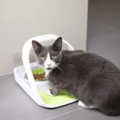 Materiel Distributeur Automatique De Nourriture SureFeed Connect -Animaux Fournitures Magasin distributeur automatique de nourriture surefeed connect 7