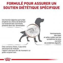 ROYAL CANIN Dog Gastro Intestinal Moderate Calorie 10 ROYAL CANIN Dog Gastro Intestinal Moderate Calorie -Animaux Fournitures Magasin dog gastro intestinal moderate calorie 1