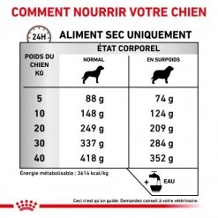ROYAL CANIN Dog Gastro Intestinal Moderate Calorie 12 ROYAL CANIN Dog Gastro Intestinal Moderate Calorie -Animaux Fournitures Magasin dog gastro intestinal moderate calorie 3