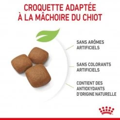ROYAL CANIN Dog Junior Giant -Animaux Fournitures Magasin dog junior giant 2
