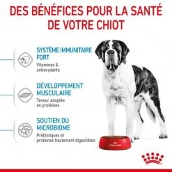 ROYAL CANIN Dog Junior Giant -Animaux Fournitures Magasin dog junior giant 3