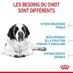 ROYAL CANIN Dog Junior Giant -Animaux Fournitures Magasin dog junior giant 4